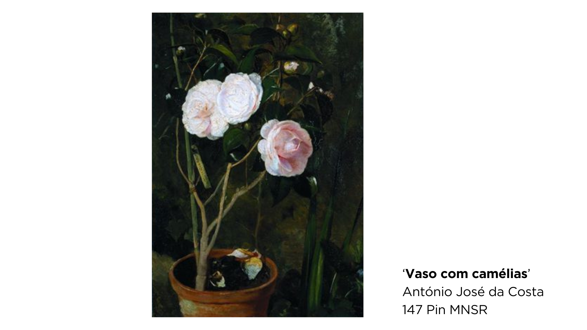 'Vaso com camélias', de António José da Costa