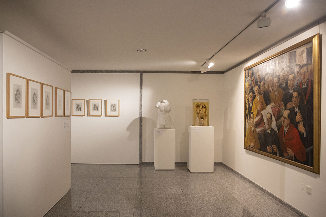 Ilustração Cirúrgica do Porto