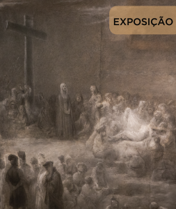 Programa MNAA no MNSR