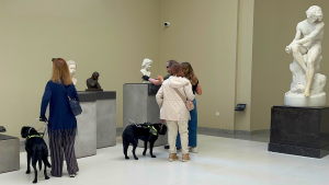 Espaços Culturais Acessíveis e Inclusivos