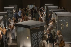 Coleção IFC: Matéria de Sonhos